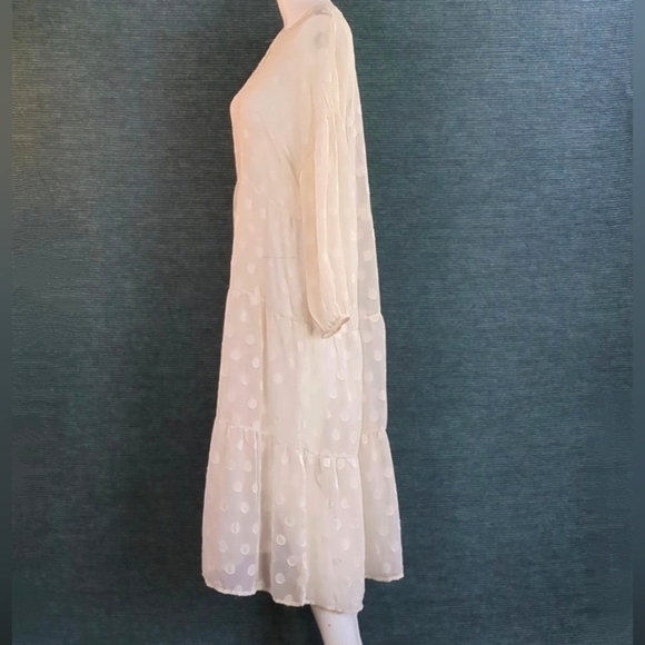 Moon River Sheer Polkadot Tiered Dress - Picture 3 of 13